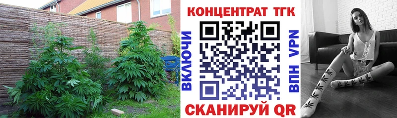 Дистиллят ТГК THC oil Йошкар-Ола