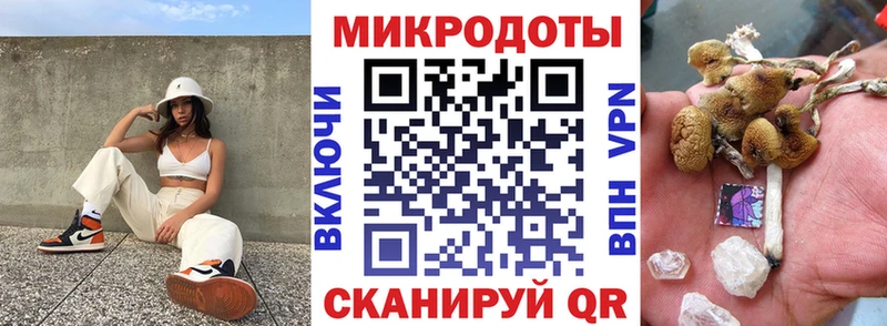 Псилоцибиновые грибы Psilocybe  Йошкар-Ола 
